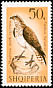 Osprey Pandion haliaetus  1966 Birds of prey 