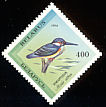 Common Kingfisher Alcedo atthis  1994 Birds in the Red Book 