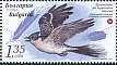 Great Spotted Cuckoo Clamator glandarius  2023 Endangered birds of Bulgaria 
