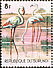 Greater Flamingo Phoenicopterus roseus  1977 African animals 
