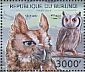 Eastern Screech Owl Megascops asio  2012 Owls Sheet
