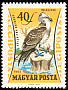 Osprey Pandion haliaetus  1962 Birds of prey 
