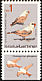Trumpeter Finch Bucanetes githagineus  1995 Songbirds 