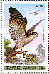 Eurasian Goshawk Accipiter gentilis  2009 Central Zoo Booklet