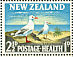 Silver Gull Chroicocephalus novaehollandiae  1964 Health stamps 2 sheets