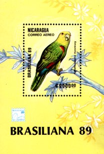 Nicaragua 1989