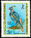 Himalayan Monal Lophophorus impejanus