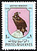 Cinereous Vulture Aegypius monachus  1968 Wild birds 
