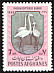 Greater Flamingo Phoenicopterus roseus