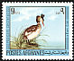 Great Crested Grebe Podiceps cristatus  1973 Birds 