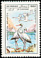 White Stork Ciconia ciconia  1982 Birds 