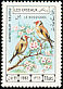 European Goldfinch Carduelis carduelis  1982 Birds 