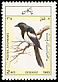 Eurasian Magpie Pica pica  1985 Birds 