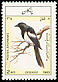 Eurasian Magpie Pica pica