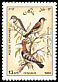 Bluethroat Luscinia svecica  1985 Birds 