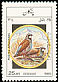 Red-legged Partridge Alectoris rufa  1985 Birds 