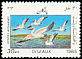 Dalmatian Pelican Pelecanus crispus  1985 Birds 
