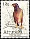 Common Myna Acridotheres tristis