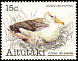 Black-browed Albatross Thalassarche melanophris  1981 Birds 