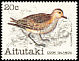Pacific Golden Plover Pluvialis fulva  1981 Birds 