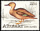 Pacific Black Duck Anas superciliosa  1981 Birds 