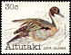 Northern Pintail Anas acuta