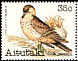 Pomarine Jaeger Stercorarius pomarinus  1982 Birds 