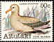 Southern Royal Albatross Diomedea epomophora  1982 Birds 