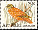 Orange Fruit Dove Ptilinopus victor  1982 Birds 