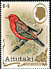 Red Avadavat Amandava amandava  1982 Birds 