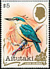 Flat-billed Kingfisher Todiramphus recurvirostris  1982 Birds 