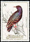 Common Starling Sturnus vulgaris  1984 Birds, countryname white 
