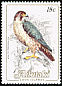 Peregrine Falcon Falco peregrinus  1984 Birds, countryname white 