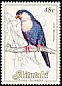 Blue Lorikeet Vini peruviana  1984 Birds, countryname white 