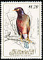 Common Myna Acridotheres tristis  1984 Birds, countryname white 