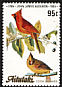 Northern Cardinal Cardinalis cardinalis  1985 Audubon 