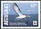 Chatham Albatross Thalassarche eremita  2016 WWF 