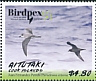 Juan Fernandez Petrel Pterodroma externa  2018 Birdpex 