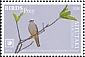 Pearl Kite Gampsonyx swainsonii  2018 Birds of prey White frames