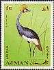 Grey Crowned Crane Balearica regulorum