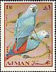 Grey Parrot Psittacus erithacus  1969 Birds 