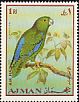 Dusky-billed Parrotlet Forpus modestus