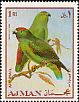 Moluccan Hanging Parrot Loriculus amabilis