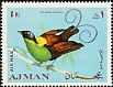 Wilson's Bird-of-paradise Diphyllodes respublica  1969 Birds 