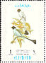 Hooded Treepie Crypsirina cucullata  1971 Tropical Asiatic birds Sheet
