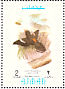 Dusky Broadbill Corydon sumatranus  1971 Tropical Asiatic birds Sheet