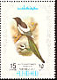 Eurasian Magpie Pica pica