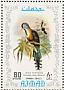 Scale-feathered Malkoha Dasylophus cumingi  1971 Tropical Asiatic birds Sheet