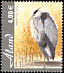 Grey Heron Ardea cinerea  2005 Newly immigrated birds 