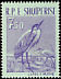 Grey Heron Ardea cinerea  1961 Albanian birds 